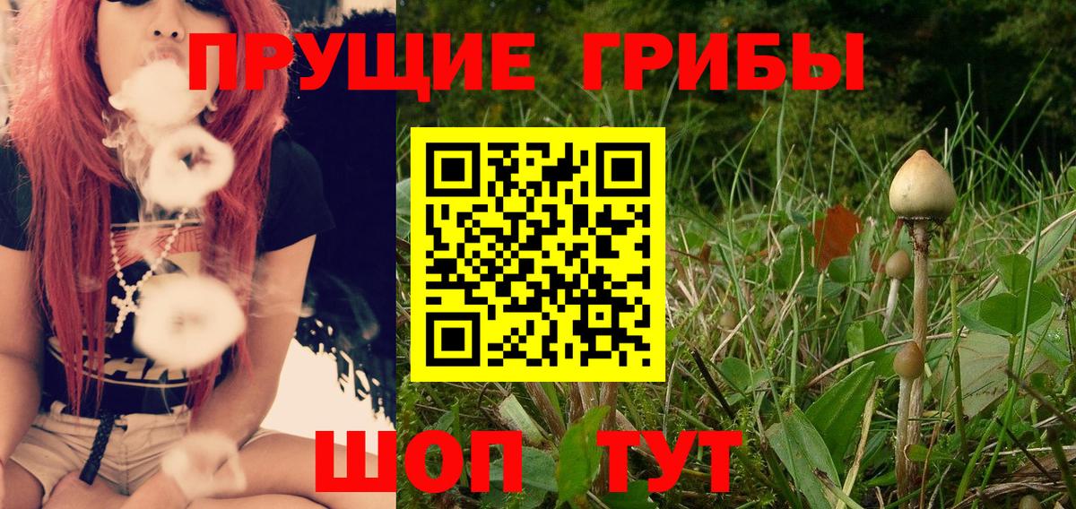 Псилоцибиновые грибы Psilocybe  Галлюциногенные грибы GOLDEN TEACHER  Вход с VPN  Гагарин 