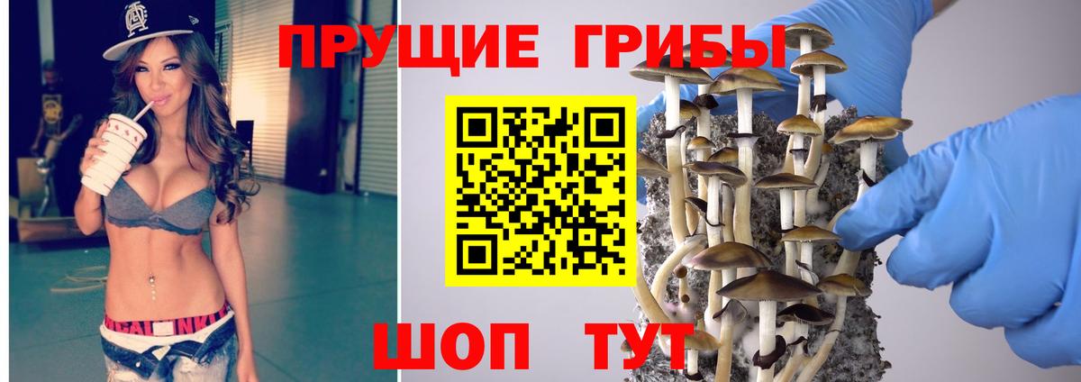 Псилоцибиновые грибы Psilocybe Гагарин